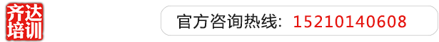 大鸡巴肏骚屄网齐达艺考文化课-艺术生文化课,艺术类文化课,艺考生文化课logo